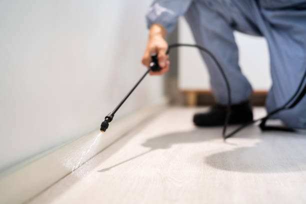 Licensed Exterminator service in Rockport, TX - Show Me Pest Control