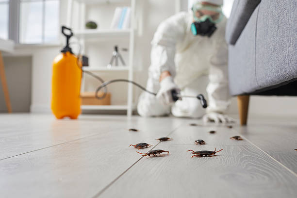 Commercial Kitchen Cockroach Control in Rockport